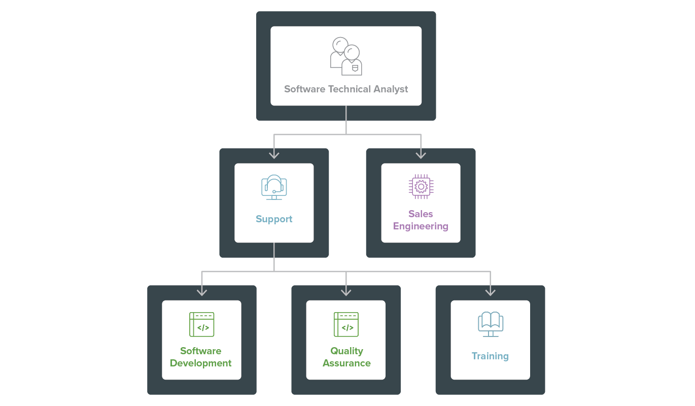 Flowchart of the Technical Pathways Program: First level: Software Technical Analyst; Second level: Information Systems, Support, Sales Engineering, Sales; Third level branching from Support: Software Development, Quality Assurance, Training