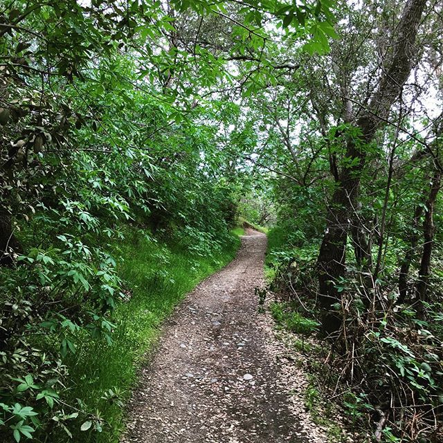 othing quite like having a 1-1 meeting while walking along #lakenatoma. #MadeAtInductive #InductiveAutomation #GetOutdoors #LoveWhereYouWork